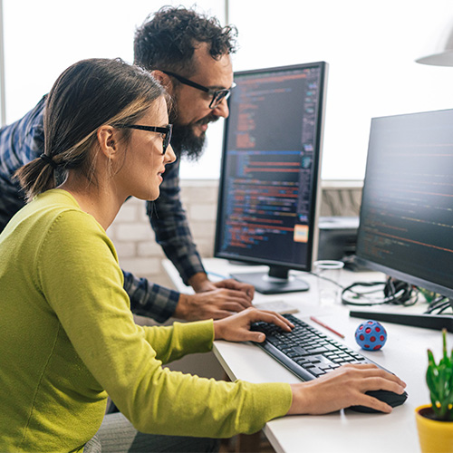 A supply chain consultant collaborating with a systems engineer to deploy a manufacturing supply chain solution.