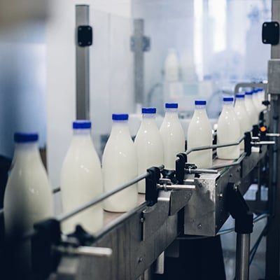 Beverage in glass bottles on a production line in a manufacturing plant.